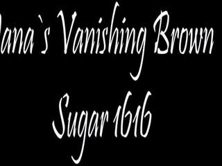 Vanishing bruin sugar 1616, gratis hd porno video- 65 | xhamster