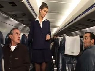 vienodas, stewardess