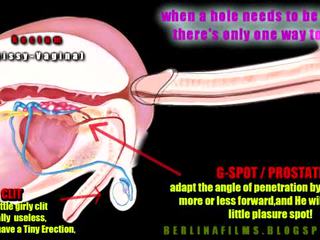 シーメール aanatomy(some 種類 の sissy-trainer)