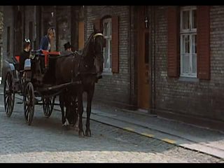 Ce the suedez butler ferăstrău - champagnegalopp (1975)