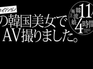 ブルネット, 日本の, トイズ