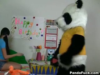 Panda gets nuori teinit vauva